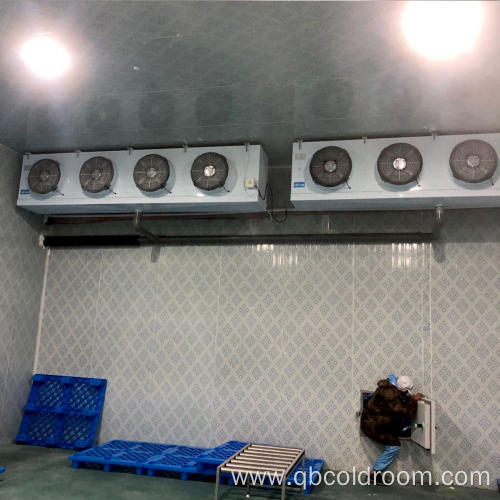 Hot Selling Cold Room/Cold Storage